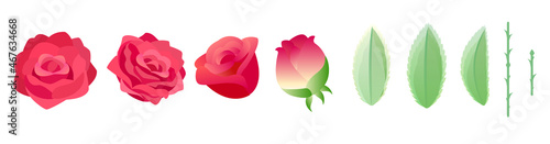 薔薇(ベクター)