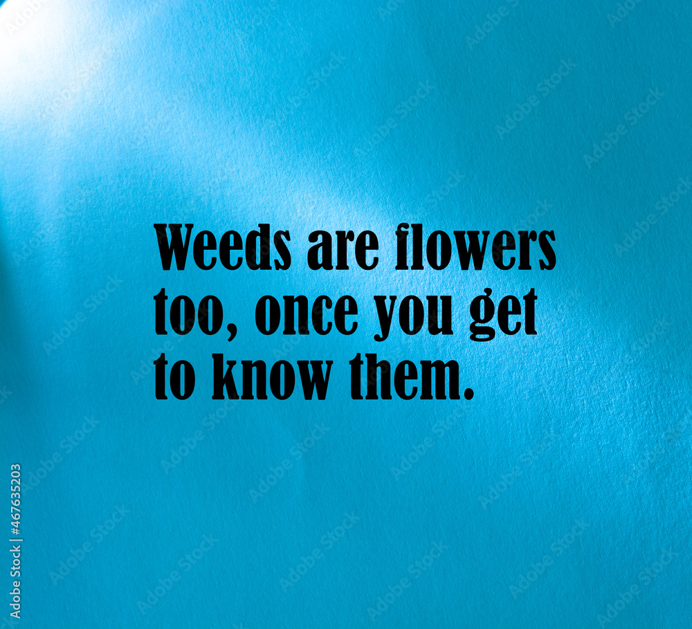 Inspirational motivational quote. Weeds are flowers too, once you get to know them. Stock Photo