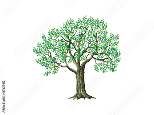 Tree image vector illustrations. plant and environment