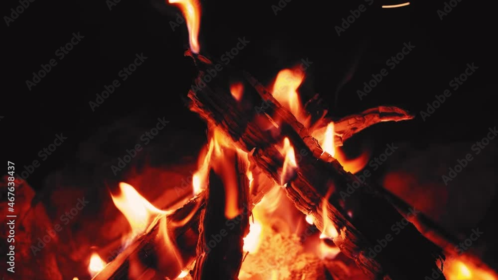 Smoldering Tree in Beautiful Bonfire at Night in the Forest Smoldering Tree in Beautiful Bonfire at Night in the Forest