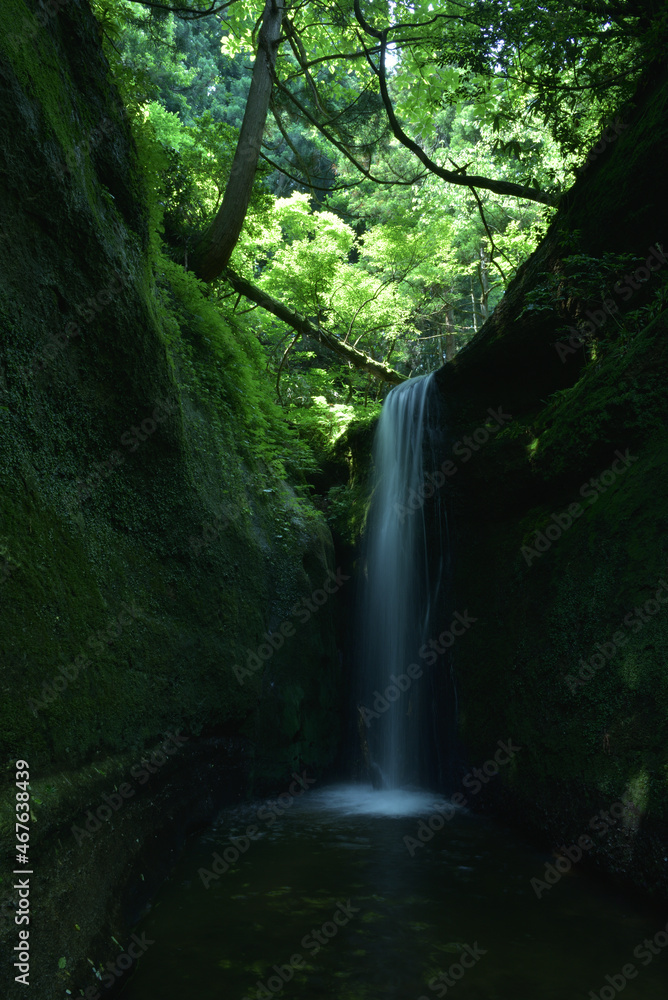 岩を流れる滝
