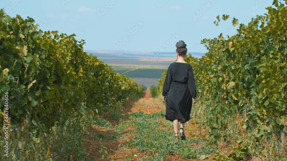 Young woman in summer dress walking among the vineyard Young woman in summer dress walking among the vineyard
