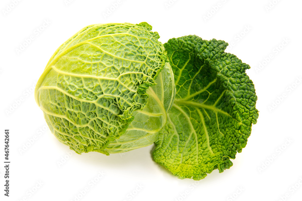 西洋野菜のサボイキャベツ 西洋野菜のサボイキャベツ