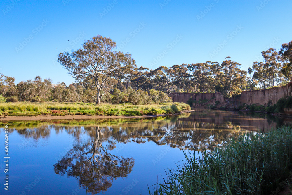 reflection of trees in werribee river