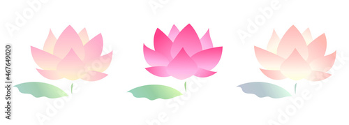 蓮の花と葉のイラストセット

