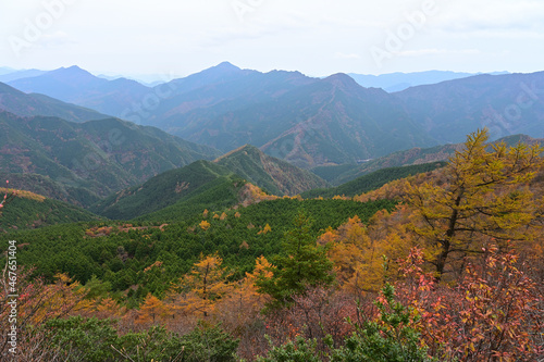 四国愛媛県新居浜市別子村の西赤石山の秋