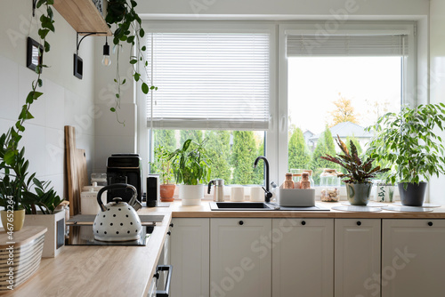 Cozy interior of kitchen with window in scandinavian style. Wooden white furniture i the kitchen and plants on a counter. 