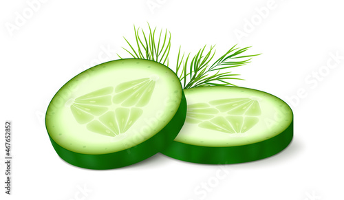 Two cucumber slices with dill isolated on white background. Realistic vector illustration.