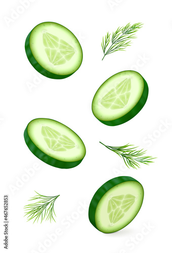 Cucumber slices with dill isolated on white background. Realistic vector illustration.
