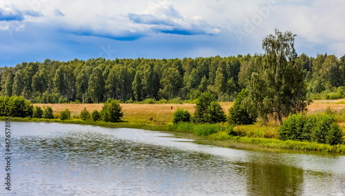 Fototapeta Naklejka Na Ścianę i Meble -  Summer landscape with river, grass, shrubs, trees and blue sky with clouds