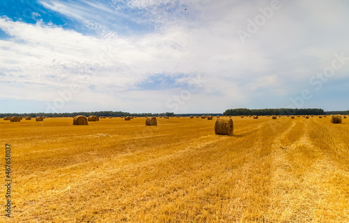 Autumn landscape with a field mown from cereals, straw rolls, a strip of forest and sky