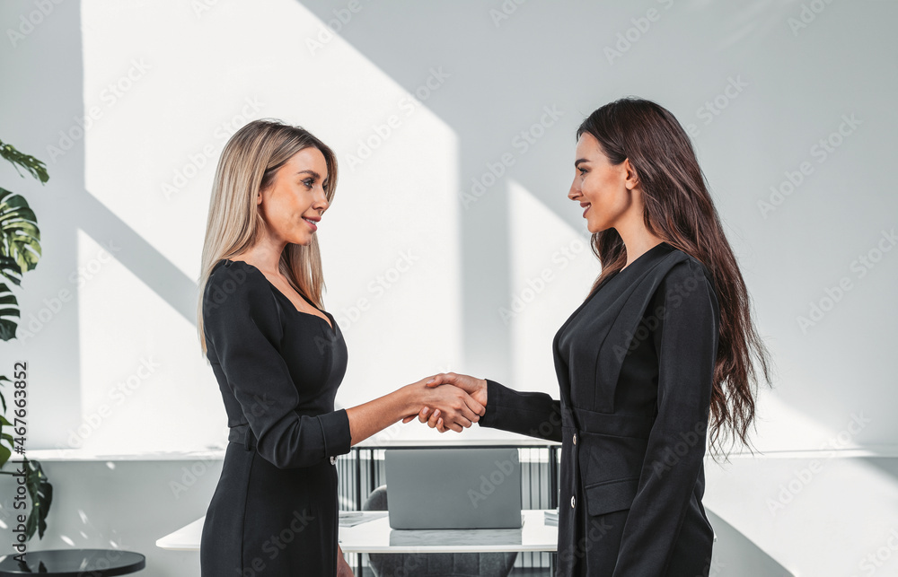 Business people handshake in office room, successful partnership