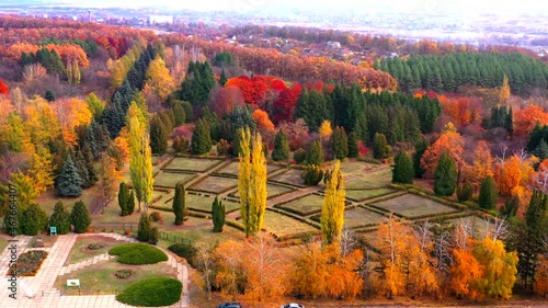 Autumn landscape. Arboretum them. Dokuchaev. 4K aerial photography.