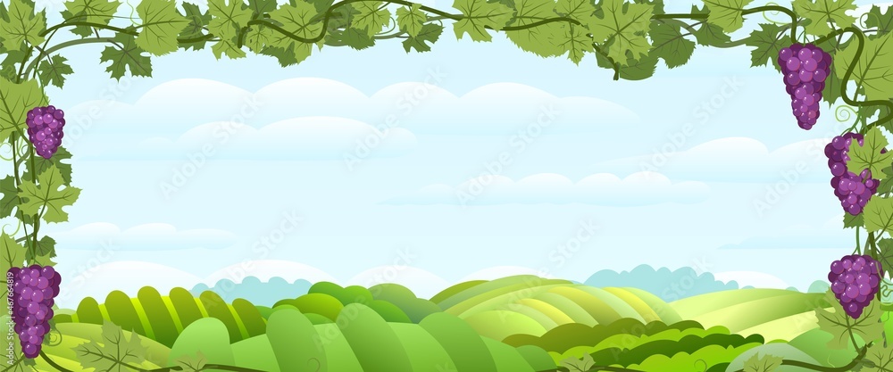 Rural hilly horizontal landscape with bunches of grapes. Viticulture and farming. Branches with berries on a dense bush. Young vineyard. Sweet autumn harvest. Vector.