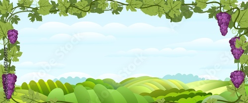 Rural hilly horizontal landscape with bunches of grapes. Viticulture and farming. Branches with berries on a dense bush. Young vineyard. Sweet autumn harvest. Vector.
