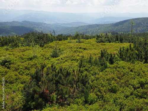 Brilliant Silesian Beskids landscapes range near Salmopol pass, Poland