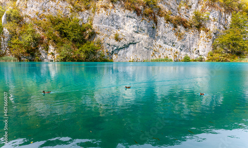 landscape in the Plitvice Lakes National Park in Croatia