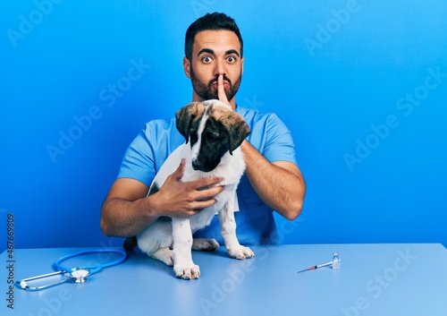 Quadro em tela Handsome hispanic veterinary man with beard checking dog health asking to be quiet with finger on lips