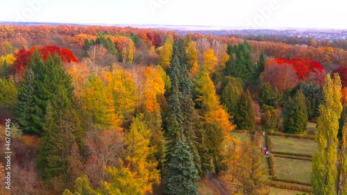 Autumn landscape. Arboretum them. Dokuchaev. 4K aerial photography. photo