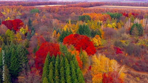 Autumn landscape. Arboretum them. Dokuchaev. 4K aerial photography. photo