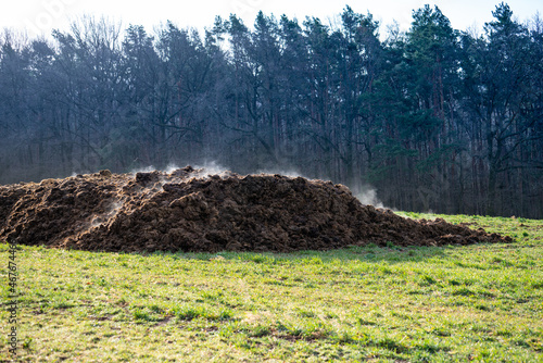 Photos A pile of cow dung as a symbol of methane pollution of the atmosphere