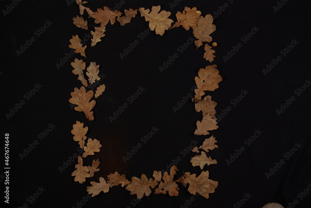 Frames of dry leaves on a black background.