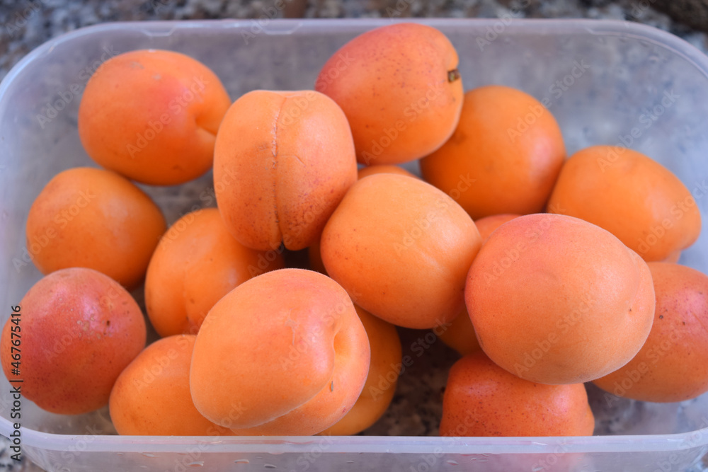 organic ripe apricots
