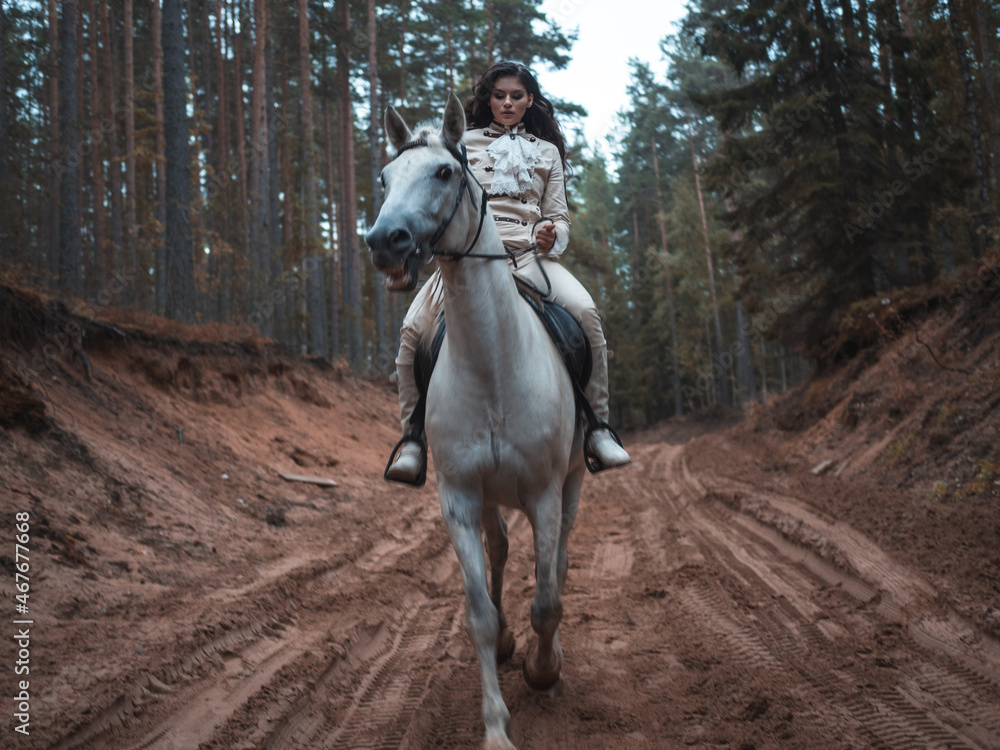 A young beautiful brunette rider in an elegant retro suit riding a white horse in a forest area