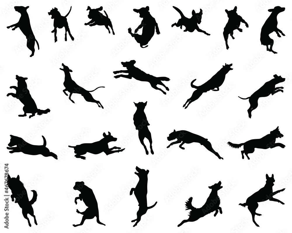 Black silhouettes of jumping dogs,  on a white background