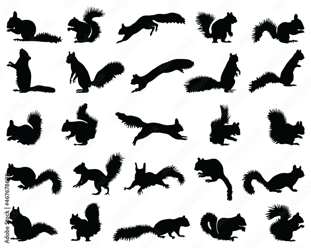 Black silhouettes of squirrels  on a white background - obrazy, fototapety, plakaty 