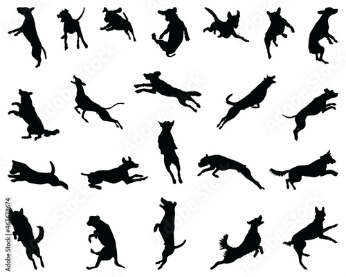 Black silhouettes of jumping dogs, on a white background