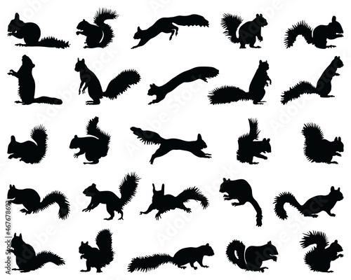 Black silhouettes of squirrels  on a white background photo