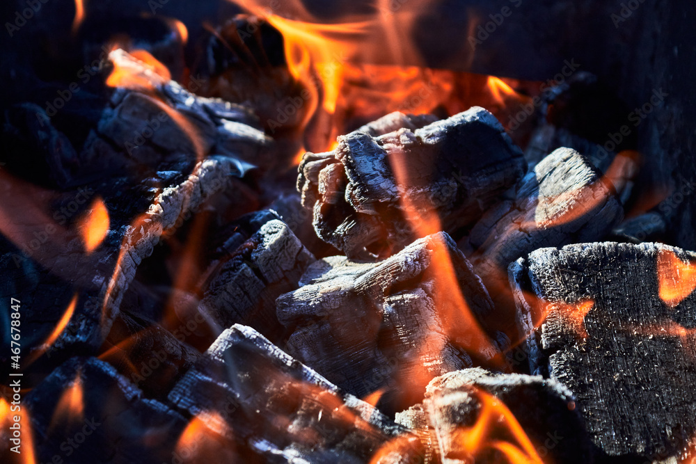 A controlled campfire with burning coals outside on a warm summer day. A controlled campfire with burning coals outside on a warm summer day.