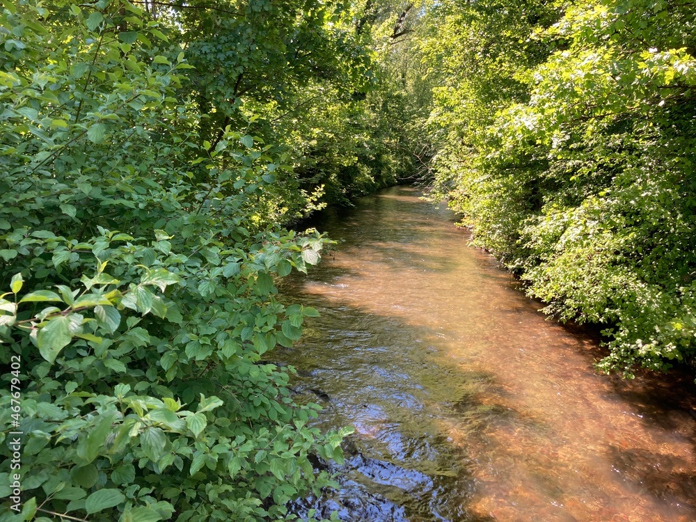Flusslandschaft 467679402 an der Würm im Sommer mit Bäumen Flusslandschaft 467679402 an der Würm im Sommer mit Bäumen