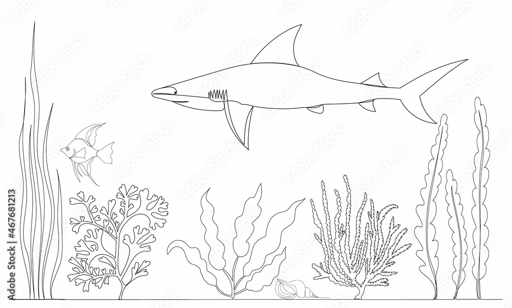 Obraz premium shark swims one line drawing isolated, vector