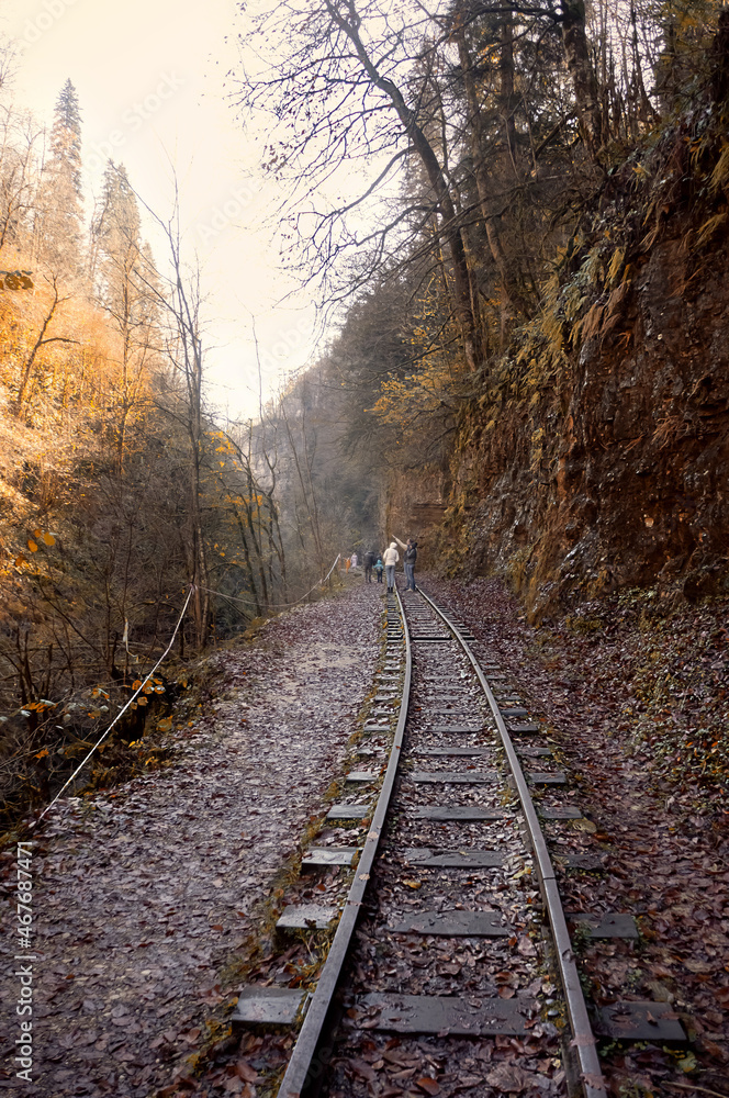 railway in the mountains in forest