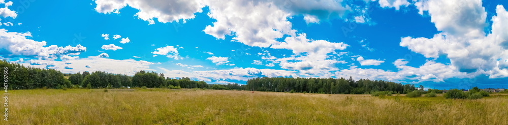 Summer landscape with grass, shrubs, trees and blue sky with white clouds Summer landscape with grass, shrubs, trees and blue sky with white clouds