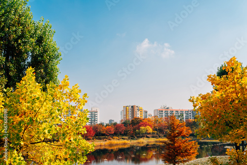 Autumn of West Seoul Lake Park in Seoul, Korea © Sanga