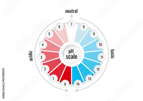 pH value scale chart meter for acid and alkaline solutions isolated on white background. Color test strip on round plate acidic and basic balance litmus indicator infographic. Flat vector illustration