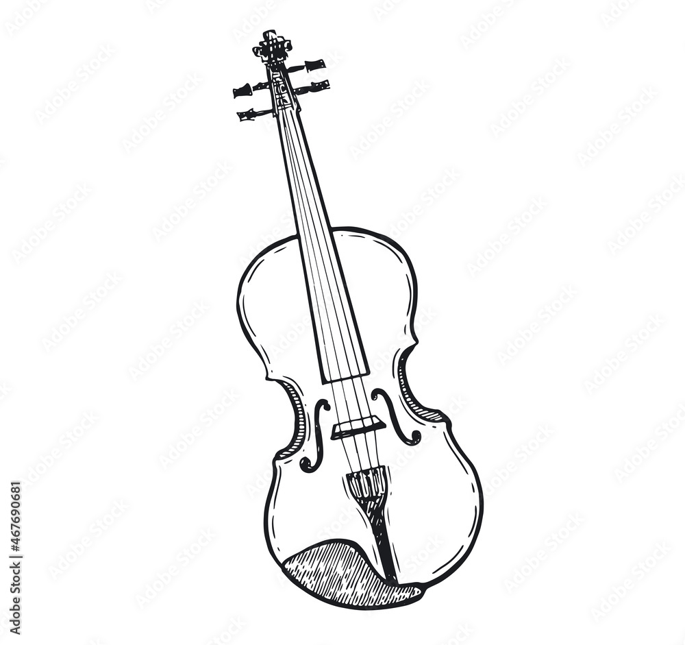Violin hand drawn illustration.