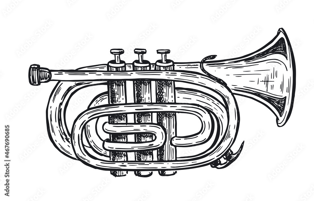 Obraz premium Trumpet, musical instruments, hand drawn illustration. Vector.