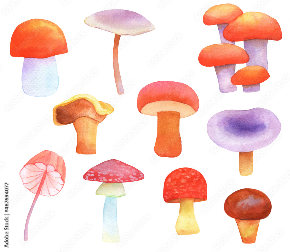 Set of forest mushrooms, watercolor illustration isolated on white background