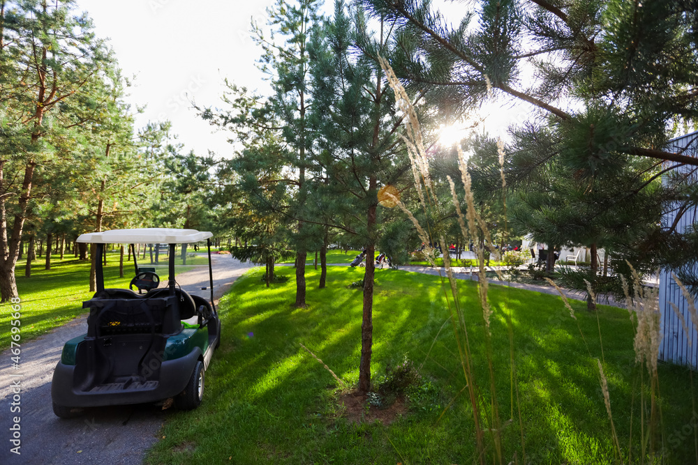 Electric golf car on the green field with passengers. High quality photo Electric golf car on the green field with passengers. High quality photo