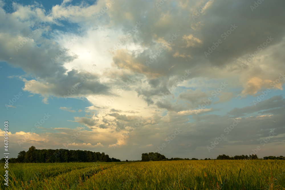 Landscape of evening clouds over a farmland