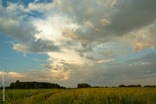 Landscape of evening clouds over a farmland
