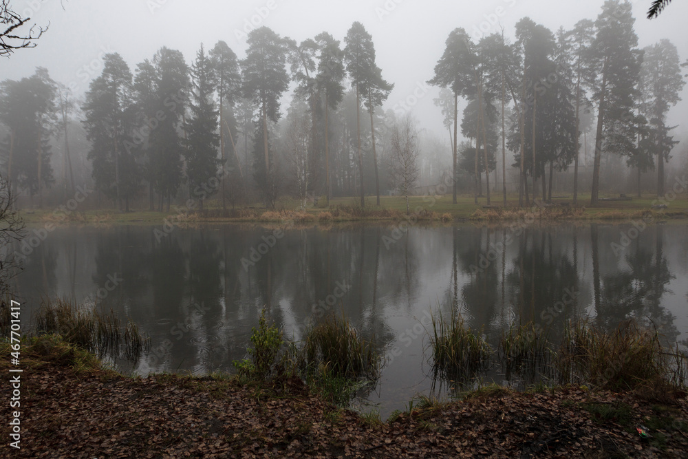 Autumn fog in the forest near Moscow Autumn fog in the forest near Moscow