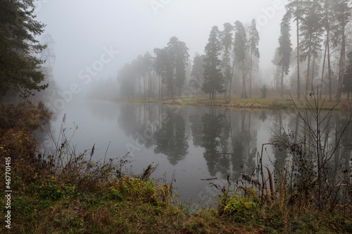 Autumn fog in the forest near Moscow