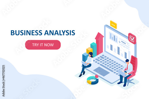 Vector of programmers working on laptop analysing internet data creating financial report