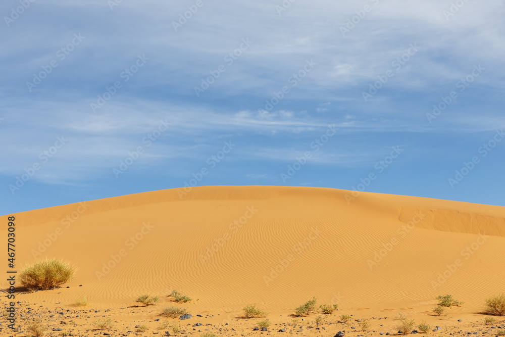 beautiful sand dune in the Sahara desert. Morocco