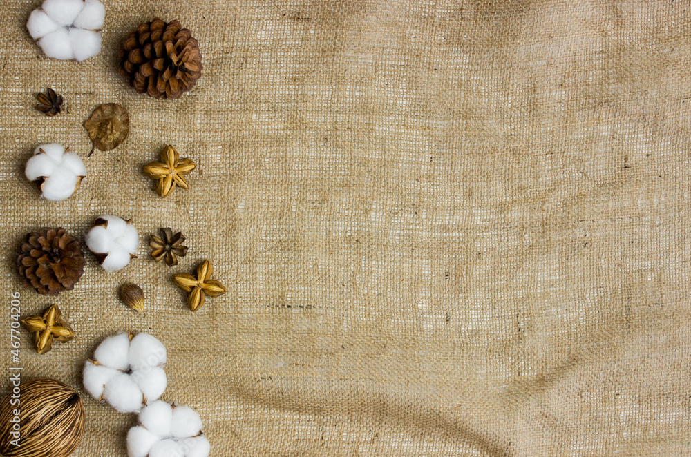 Nature cotton flowers with seed, pine and nuts over the nature fabric for background. Nature cotton flowers with seed, pine and nuts over the nature fabric for background.